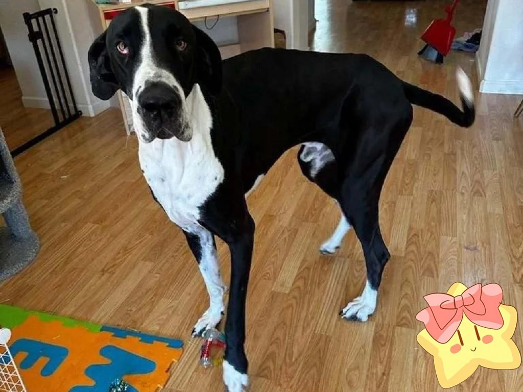 #