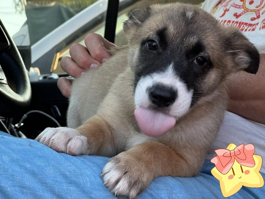 #