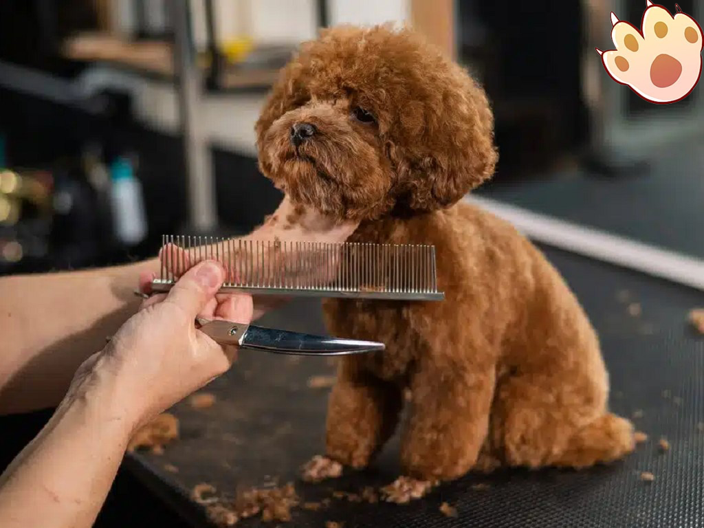 Dog dental care illustration