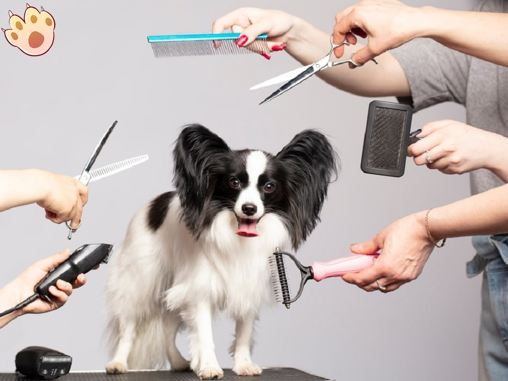Dog dental care illustration