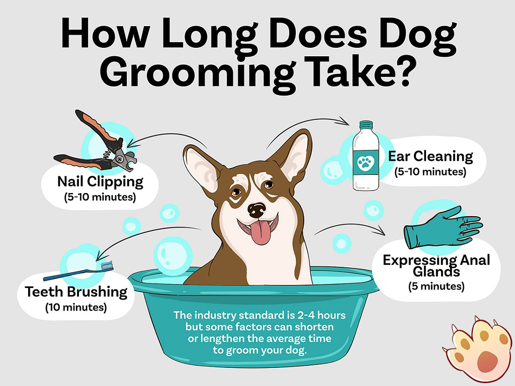 Dog dental care illustration