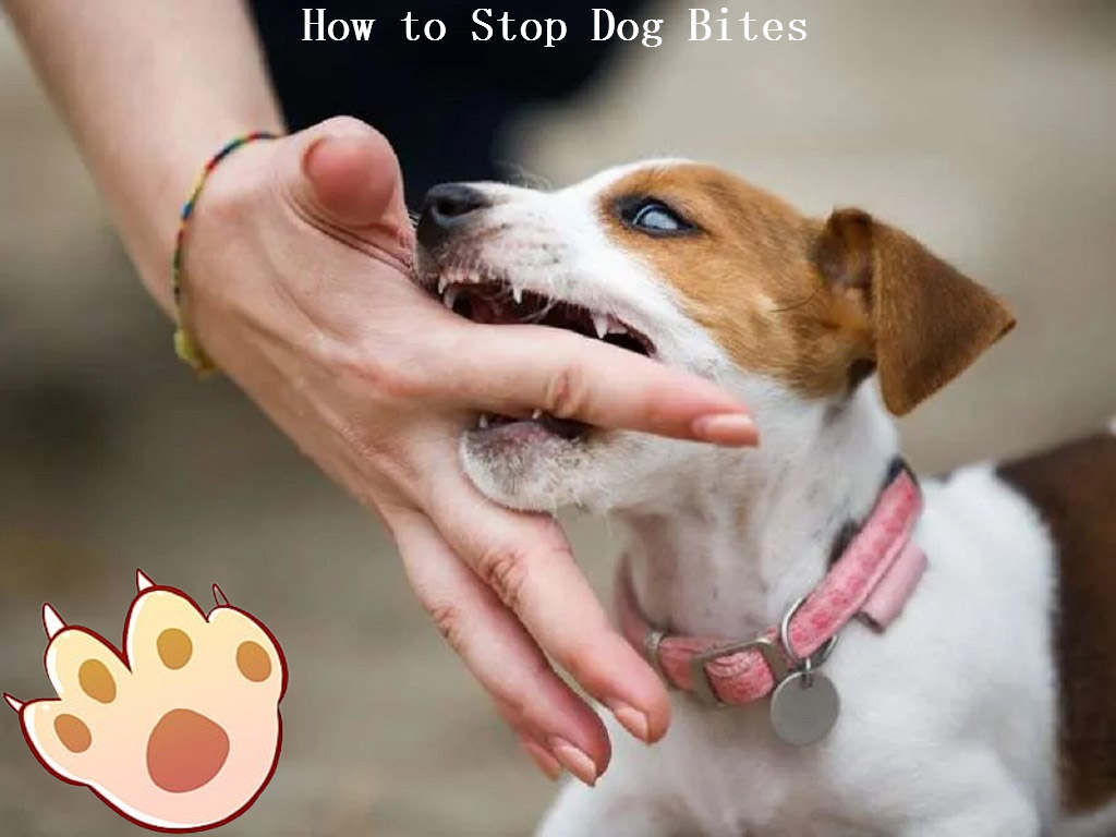 Dog dental care illustration