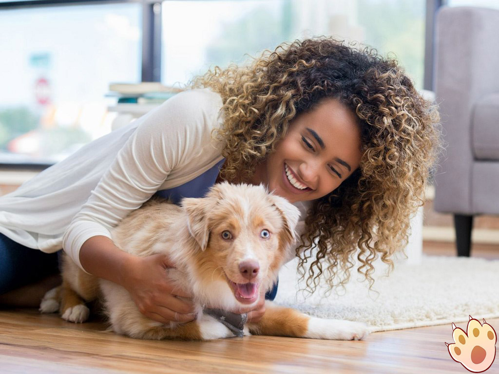 Dog dental care illustration