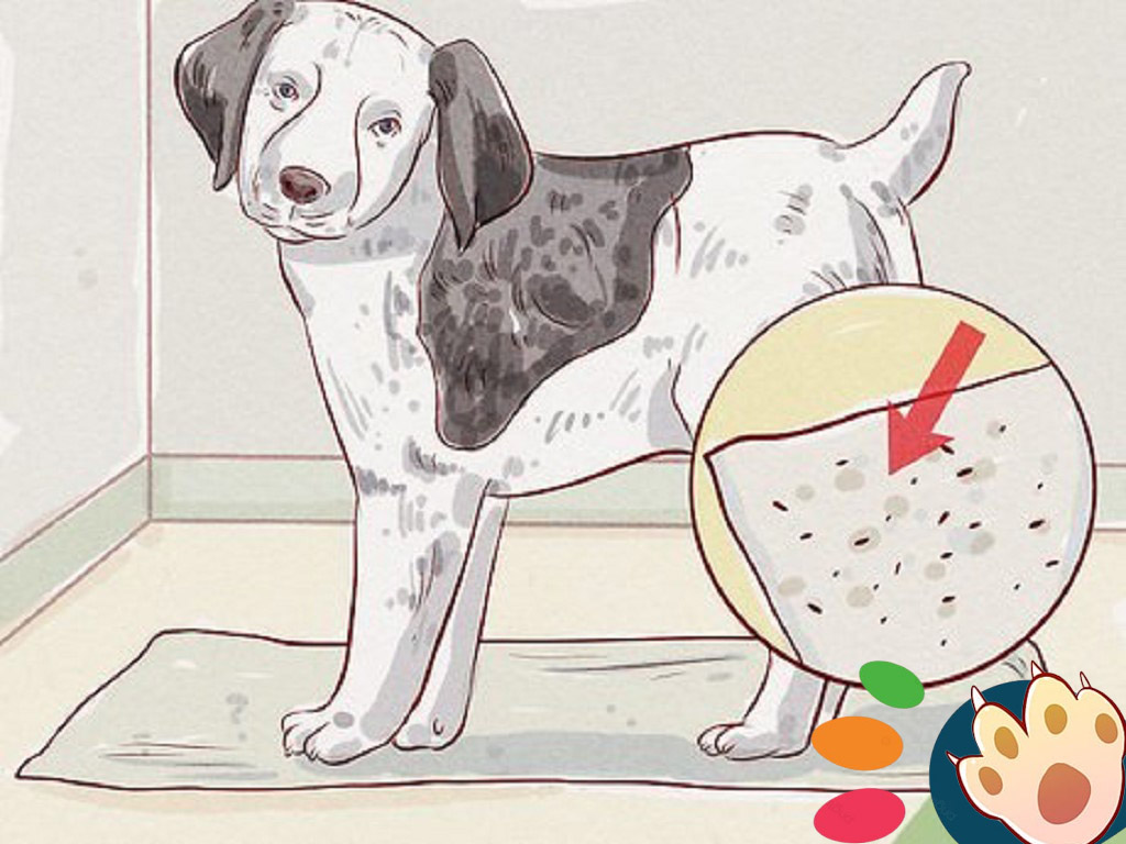 Dog dental care illustration