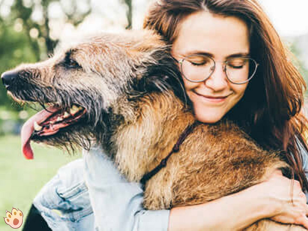 Dog dental care illustration